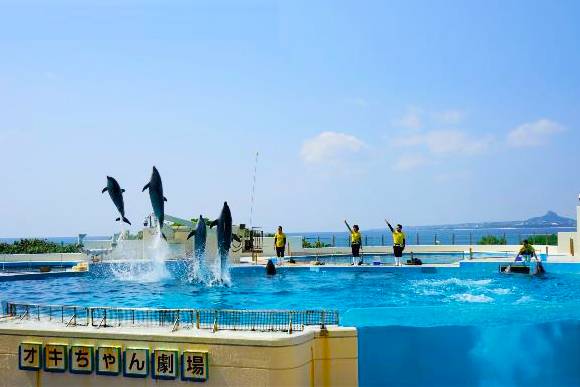 Party Room推介 沖繩美麗海水族館 沖繩水族館 沖繩 水族館 海豚劇場。
