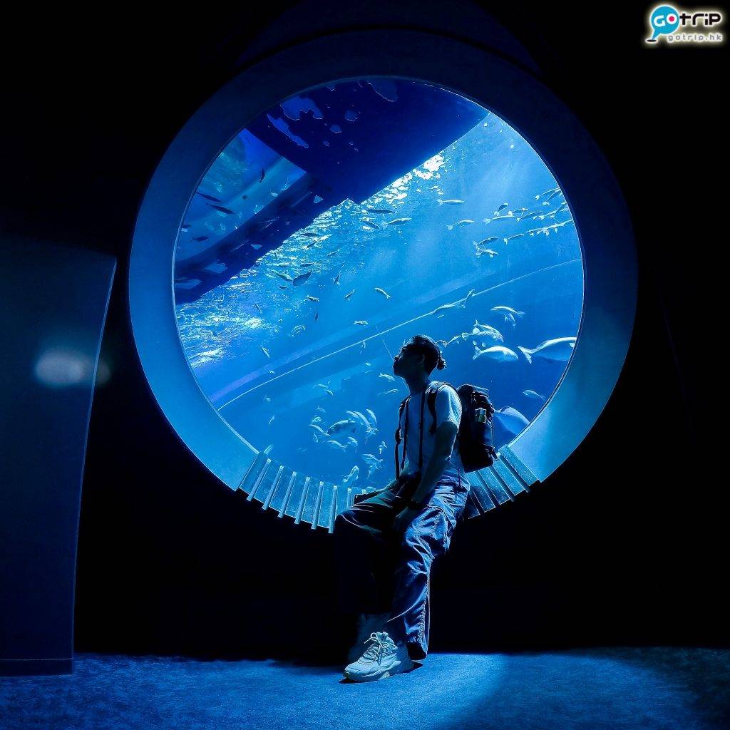 沖繩自由行 巨大圓窗前會有魚群游過，更添神秘感。