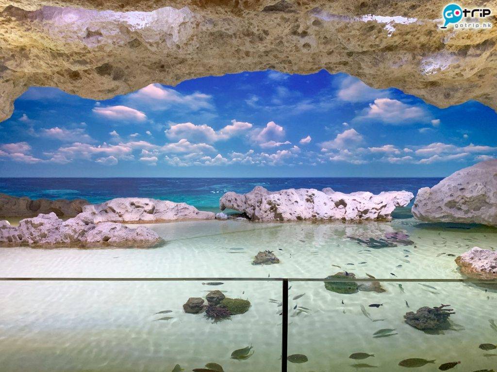 沖繩水族館 沖繩 水族館 海風洞窟以投影、聲音和淺灘造景，模擬沖繩海岸的洞窟景色。