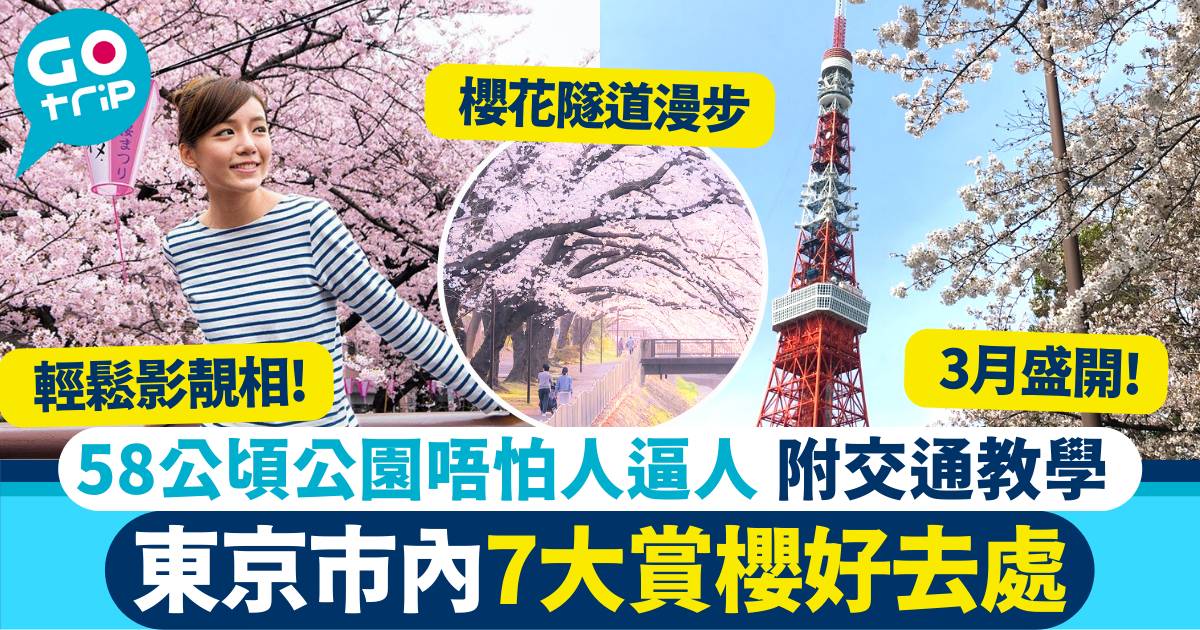 東京櫻花