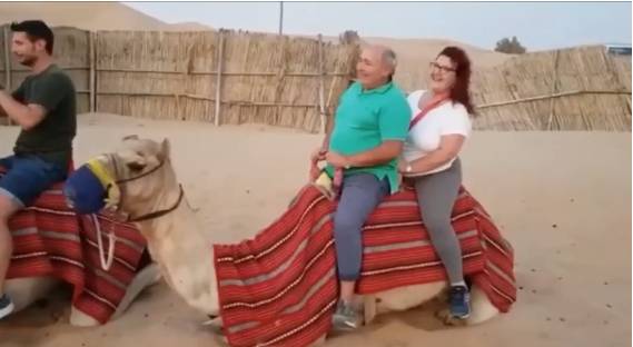 200kg坐駱駝 動物權益 騎駱駝