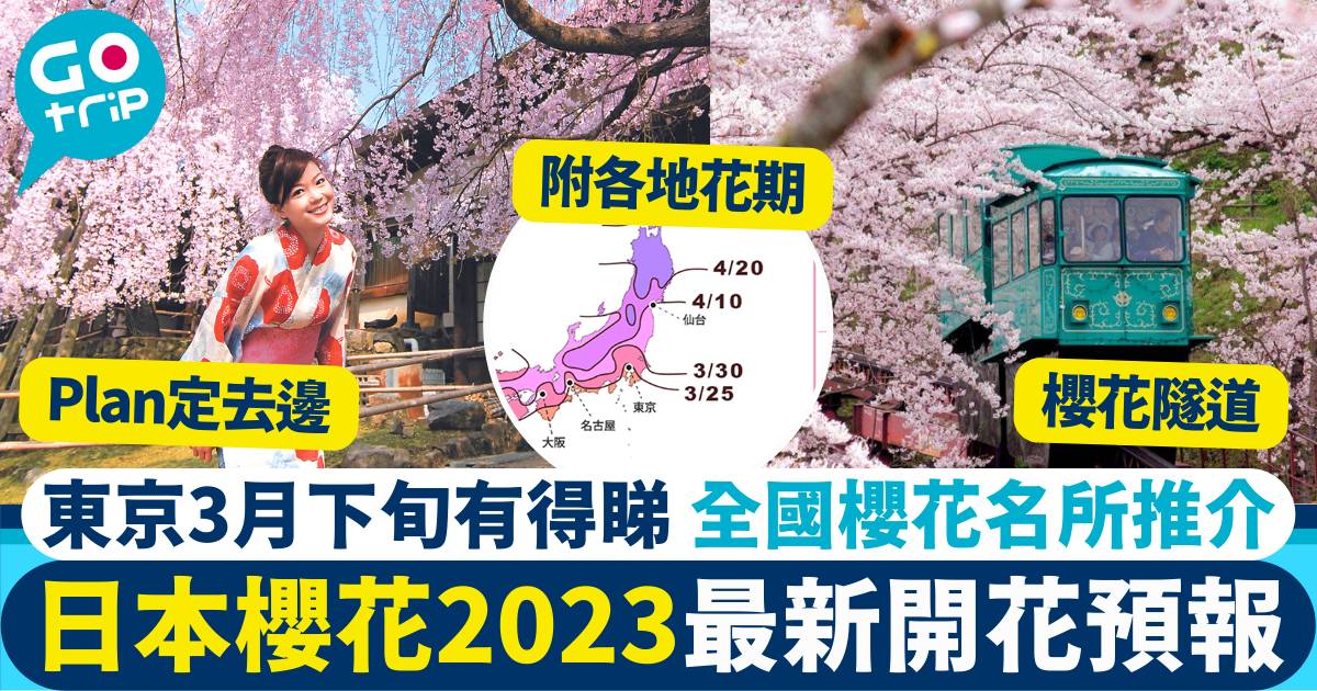 日本櫻花2023