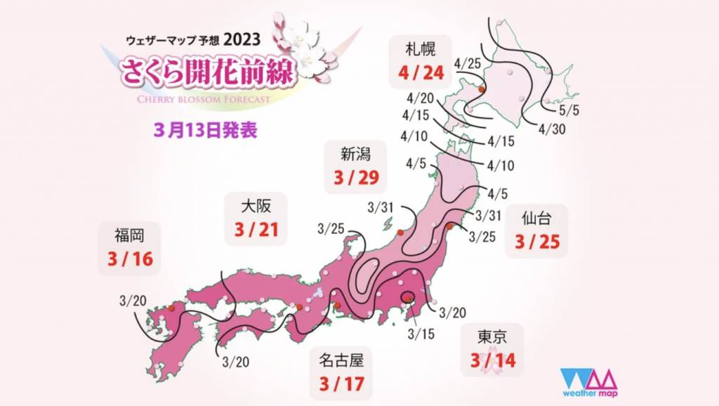 日本櫻花2023 