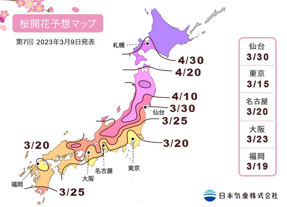 日本櫻花2023 2023年櫻花開花預測。