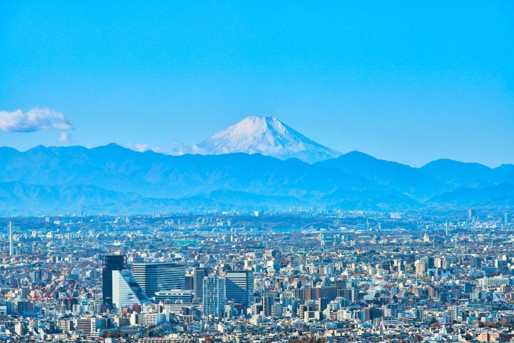 池袋 展望公園可以遠眺富士山。