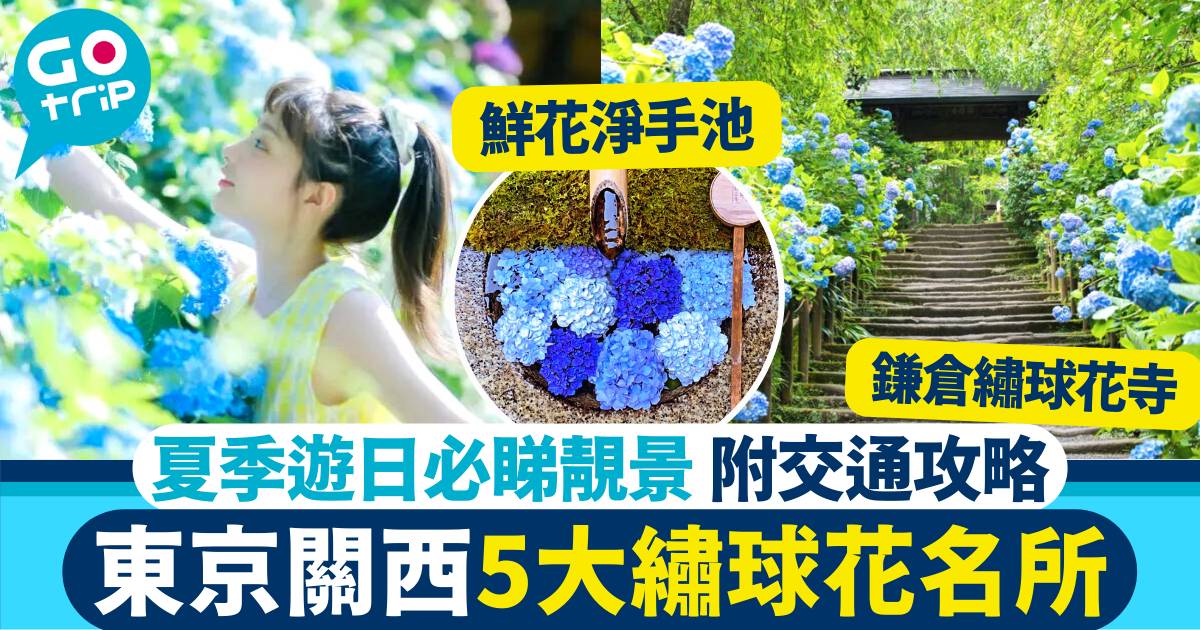 日本繡球花
