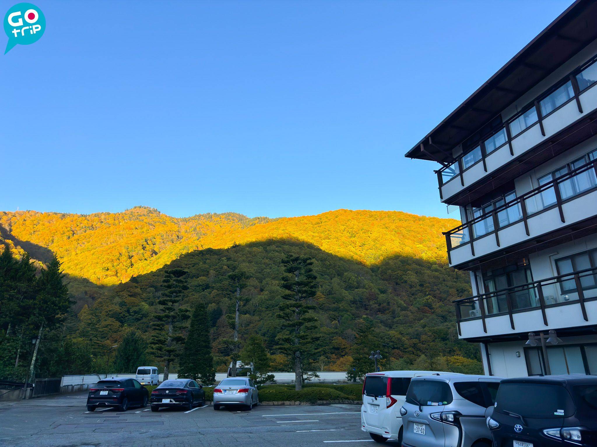 名古屋自由行 岡田旅館門口就可以看到滿山紅葉。