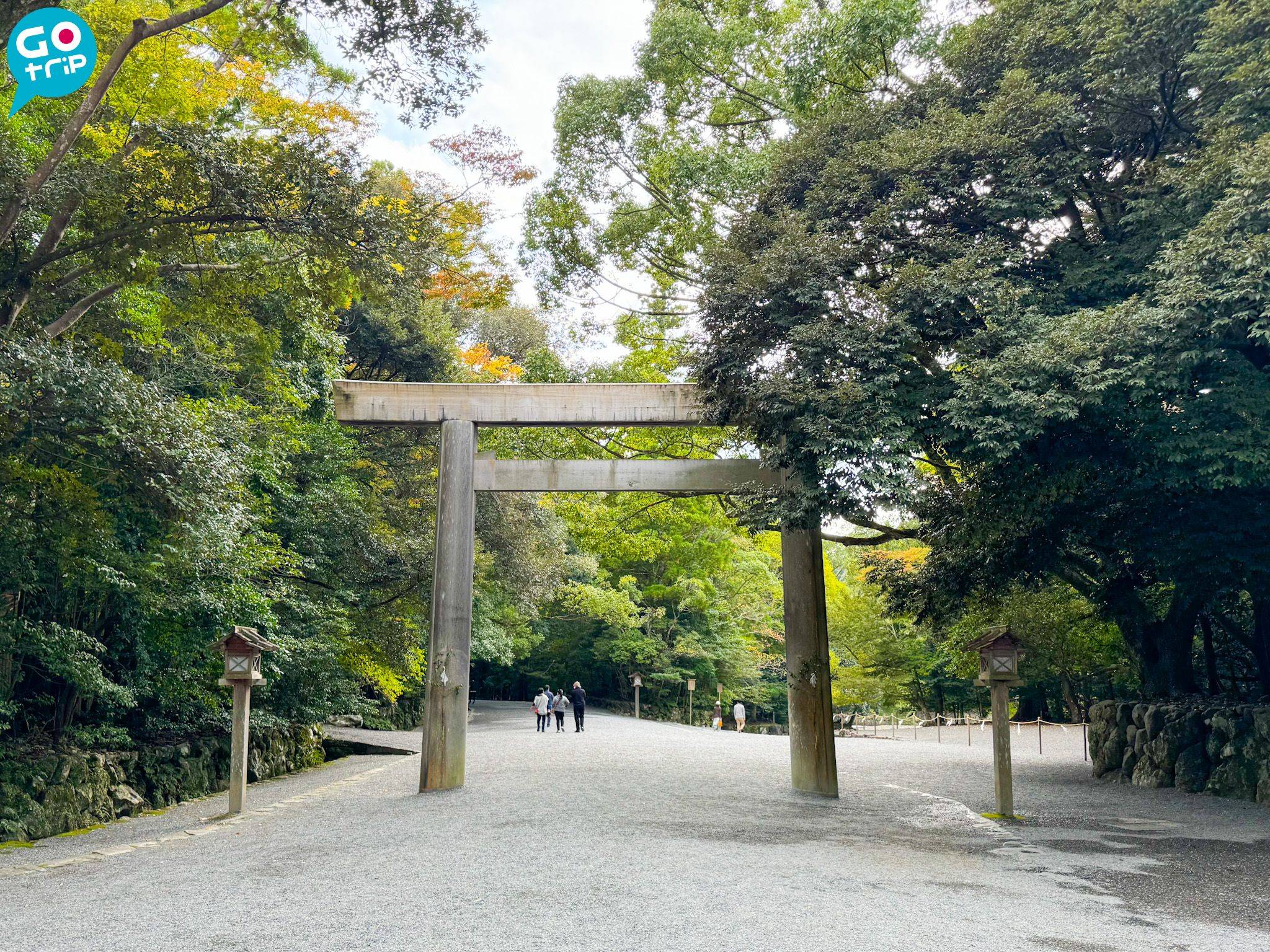 名古屋自由行 伊勢神宮內有大量參天巨木。