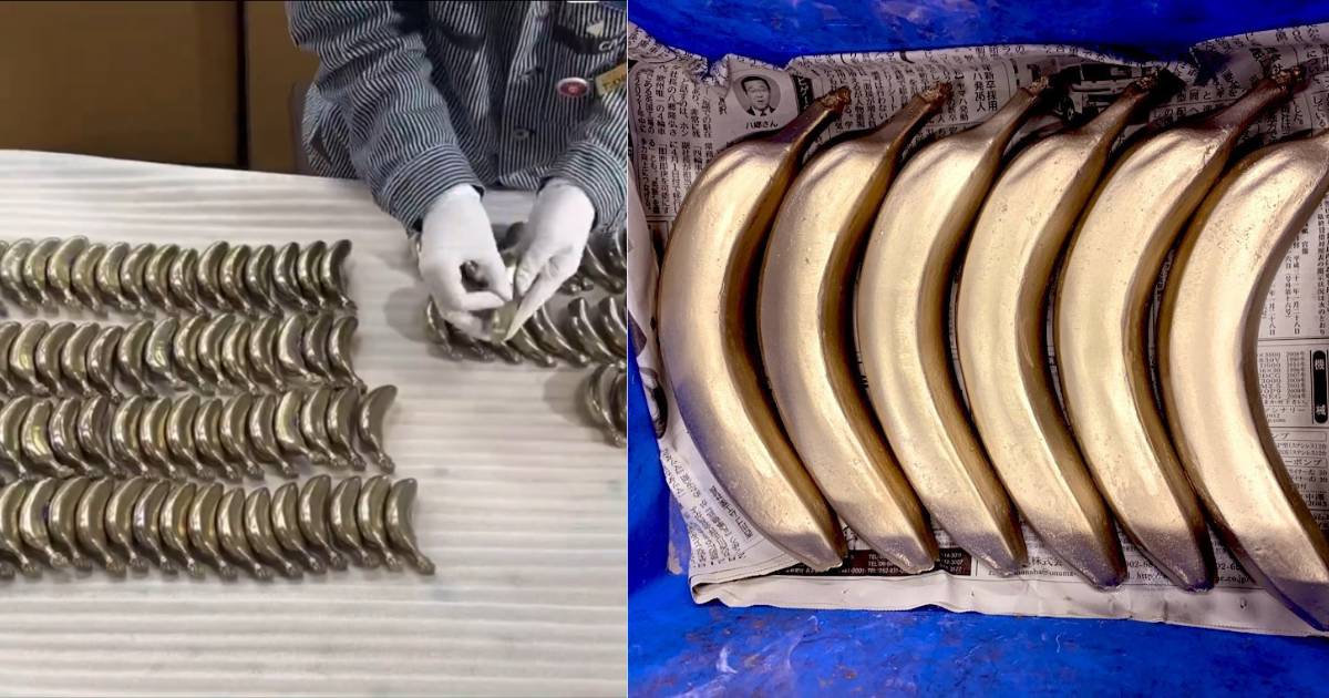 鋼鐵香蕉 用途