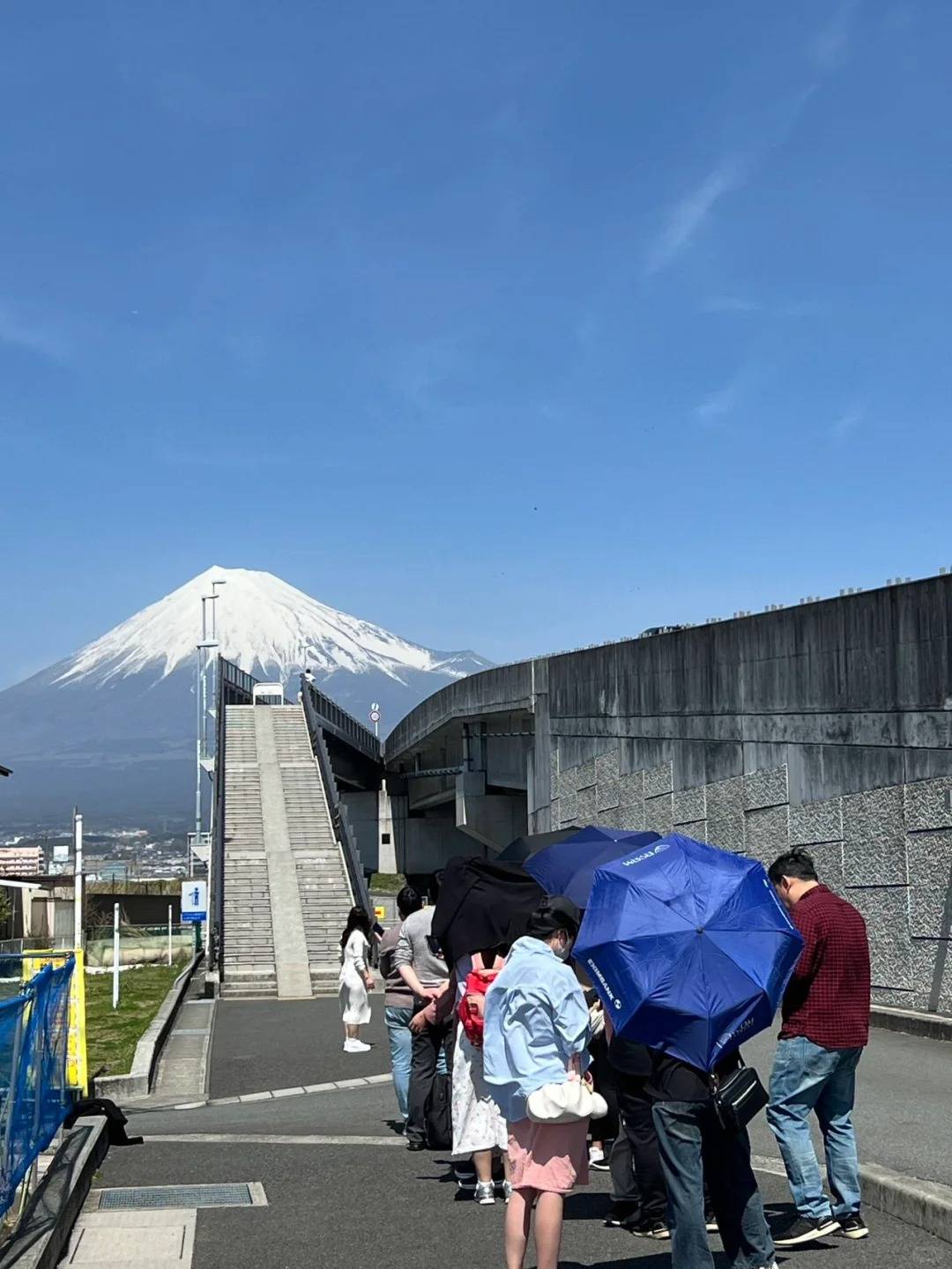 日媒鬧爆遊客打卡富士山5宗罪 夢之大橋 馬路中央分隔帶或被禁？