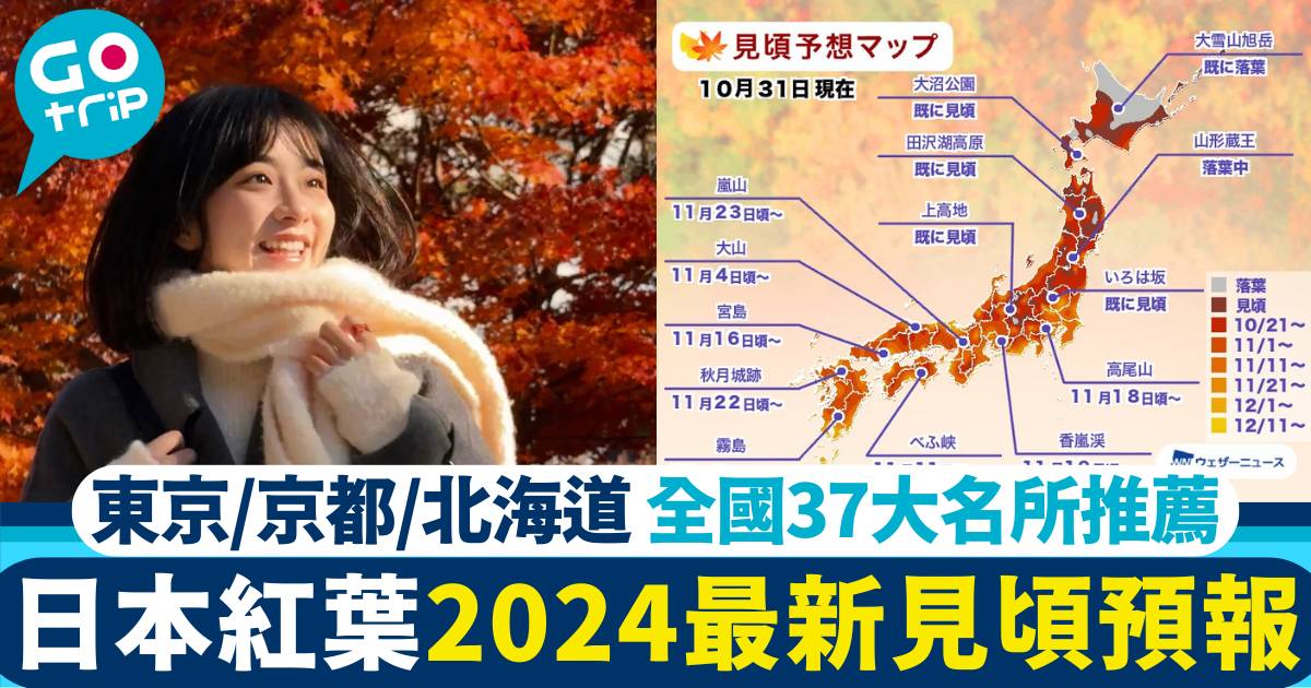 日本紅葉2024