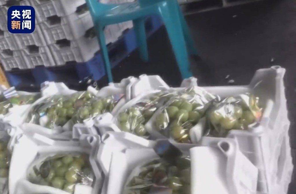 水果市場 現時不少商家會國產「陽光玫瑰」提子假冒為日本進口（圖片來源：央視）