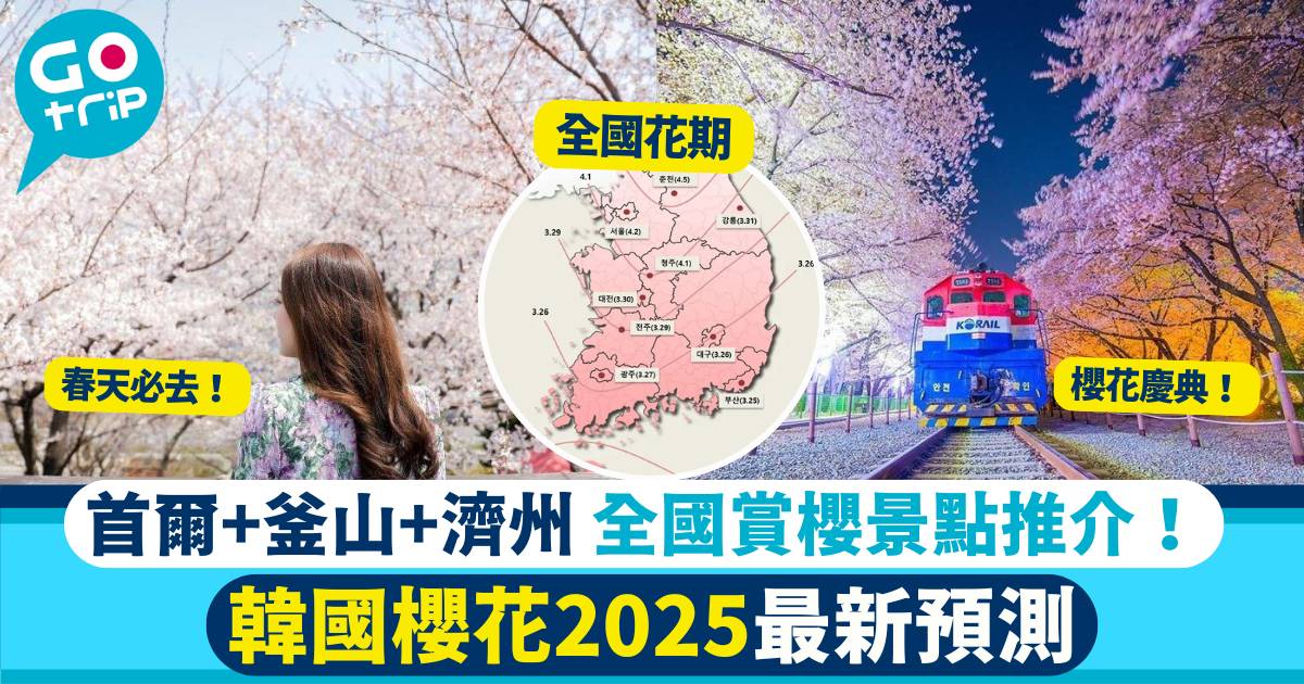 韓國櫻花2025