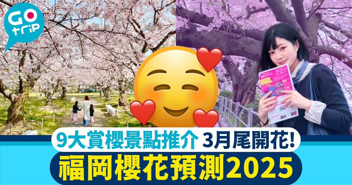 福岡櫻花 2025