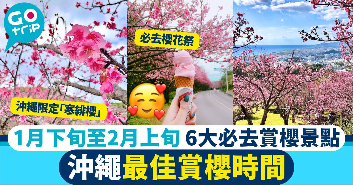 沖繩櫻花2025