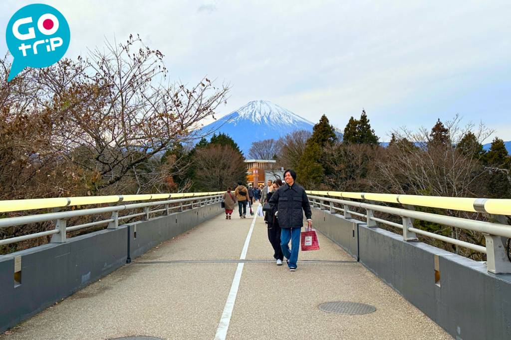 靜岡自由行2025