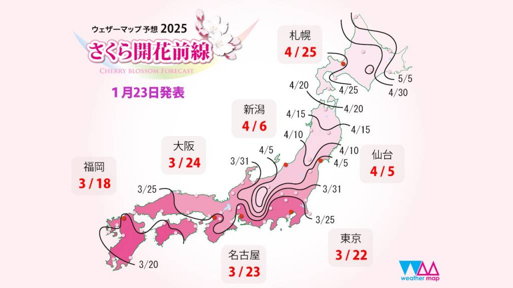 日本櫻花2025