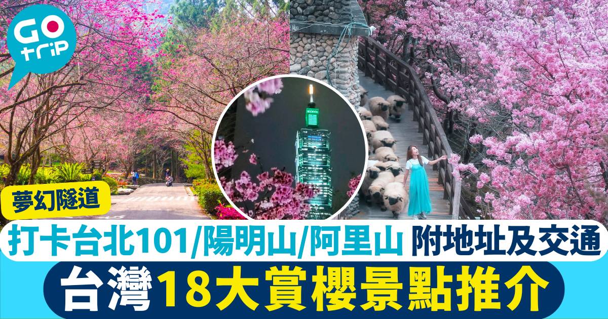 台灣櫻花 2025