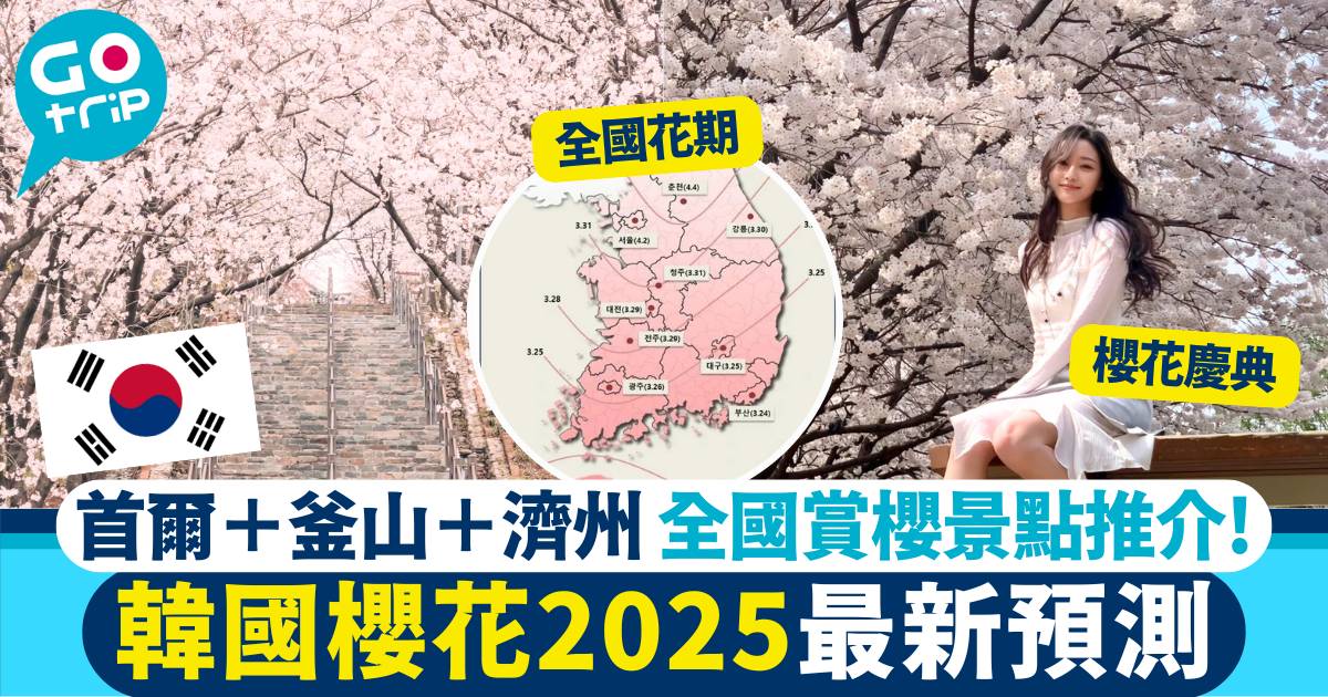 韓國櫻花2025