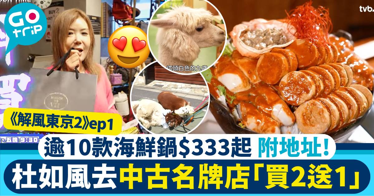 解風東京2