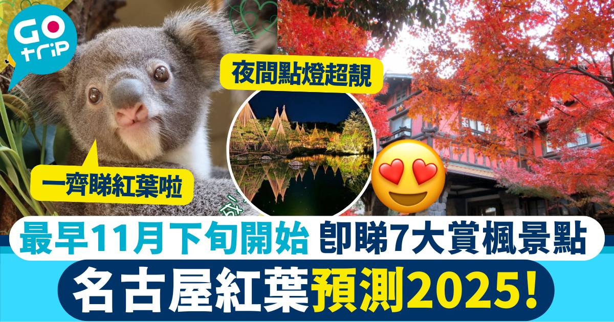 名古屋賞楓