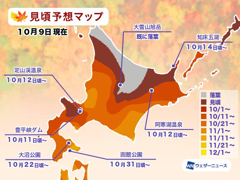 日本紅葉2024 2025年北海道紅葉預想(圖片來源:Weathernews)