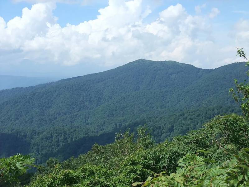 日本火山 旅遊安全 (圖片來源:Wikipedia)