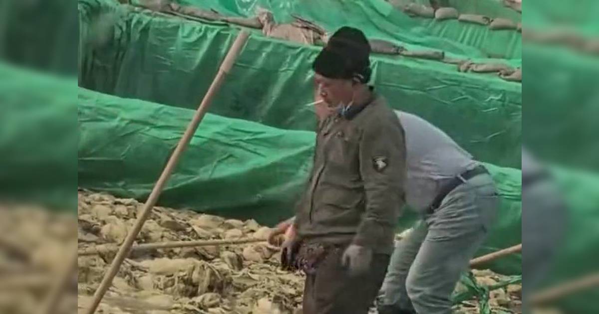 食品安全 酸菜廠醜聞