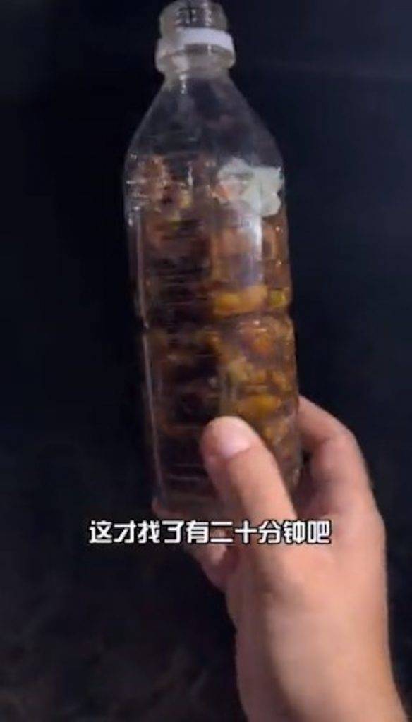 中國人 東京公園 (圖片來源:Twitter@__Inty__)