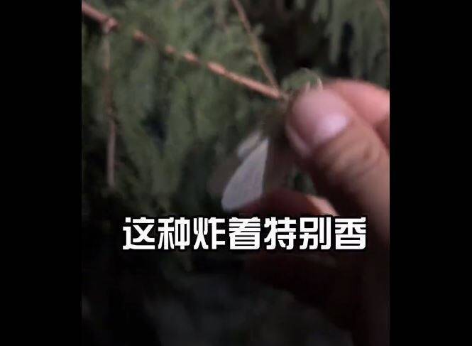 中國人 東京公園 (圖片來源:Twitter@__Inty__)