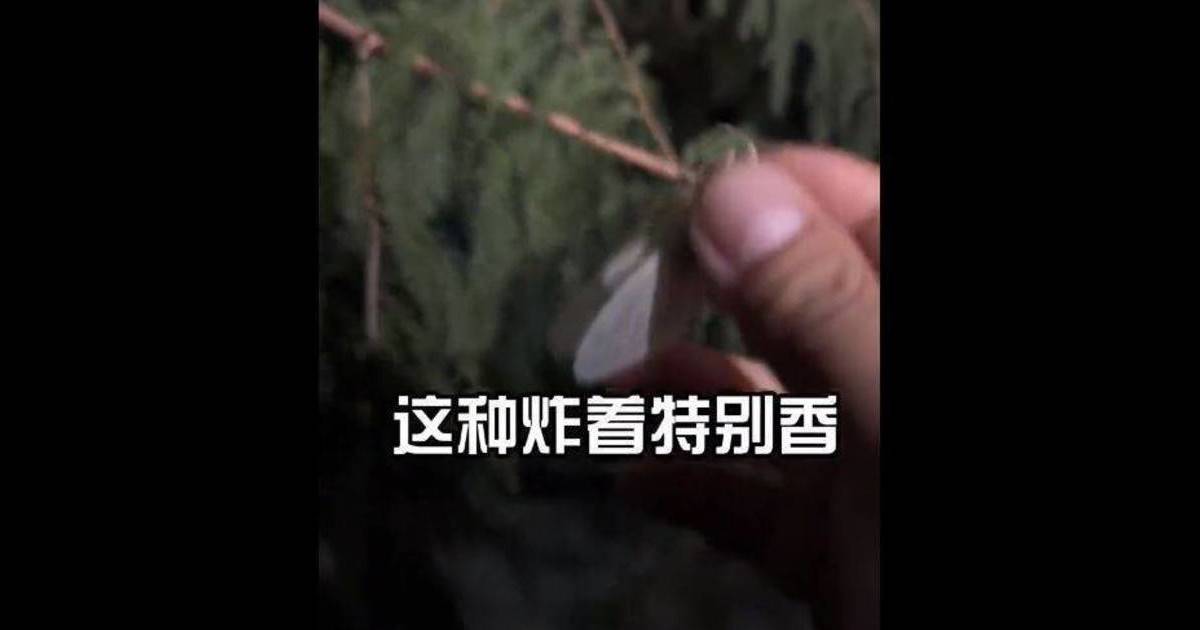 中國人 東京公園