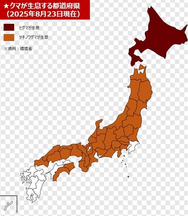 日本野熊 熊襲事件 (圖片來源:itsukaichi_engi@X)