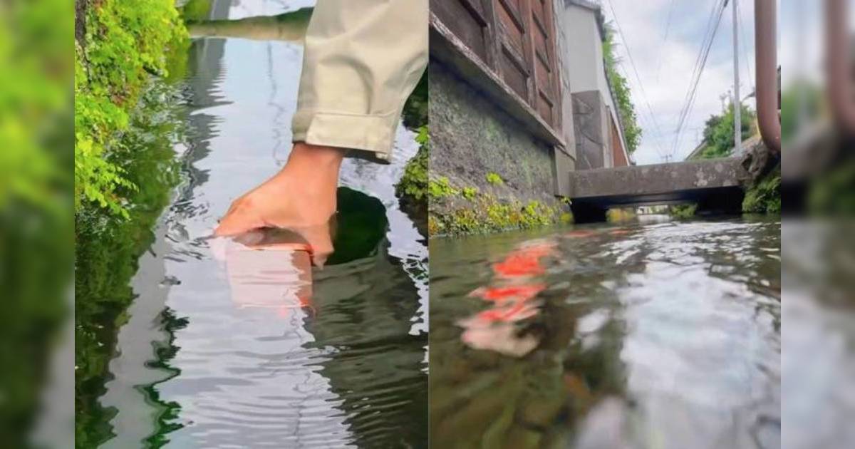 日本旅遊 環境衛生