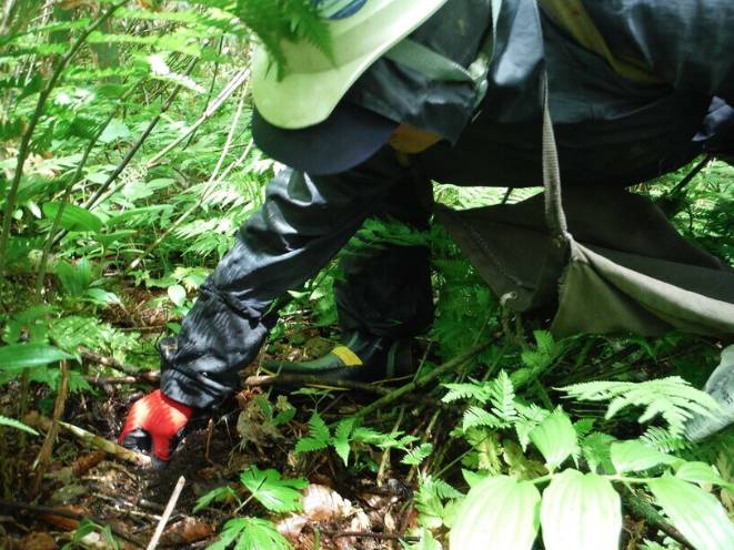 日本熊害 十和利山事件 (圖片來源:AERA DIGITAL)