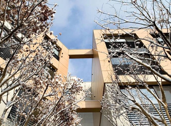 張員瑛 ive (圖片來源:wanted)