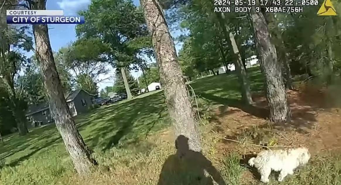 美國警察 寵物權益 (圖片來源:KOMU-TV)