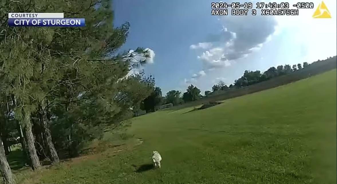 美國警察 寵物權益 (圖片來源:KOMU-TV)