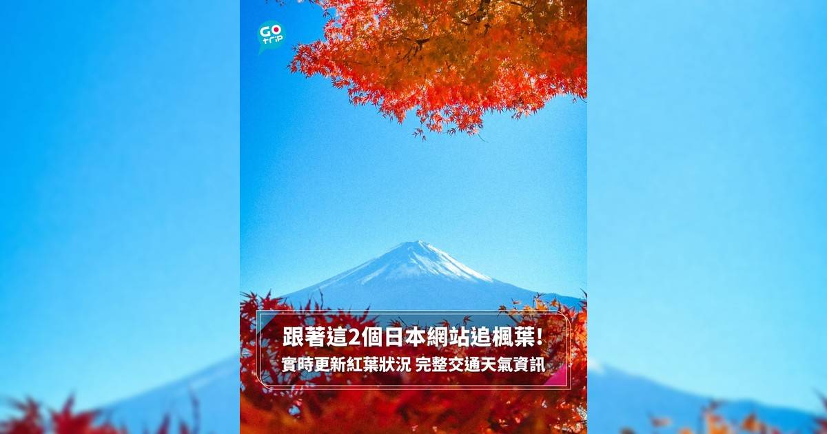 跟著這2個日本網站追楓葉! 實時更新紅葉狀況 完整交通天氣資訊