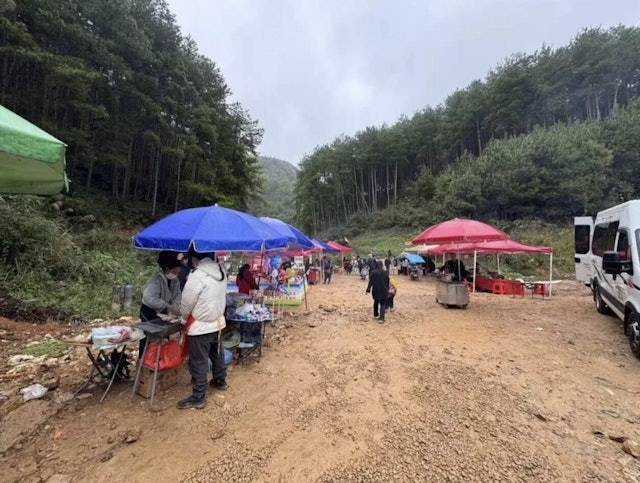 動物園 四角羊 (圖片來源:都市快報)