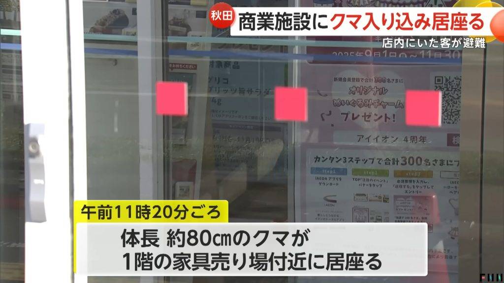 日本熊害 aeon商場 (圖片來源:FNNプライムオンライン)