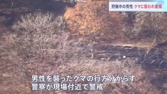 熊襲人 日本 (圖片來源:TBS NEWS)