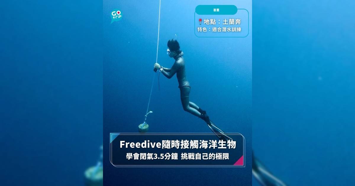 【#GOVital】Freedive隨時接觸海洋生物 學會閉氣3.5分鐘 挑戰自己的極限