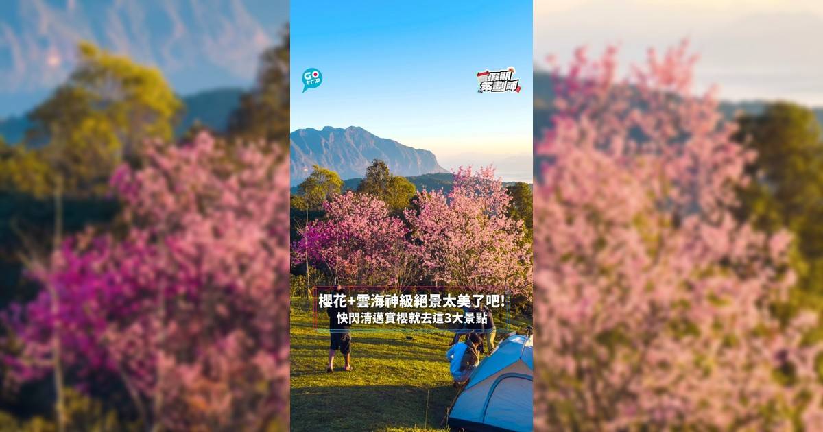 【#假期策劃師】想快人一步賞櫻？其實泰國櫻花12月起已經陸續盛開！等GOtrip帶大家實地直擊清邁3大最靚、最易影靚相的賞櫻熱點，趁年尾年頭快閃3日都有得睇櫻花！