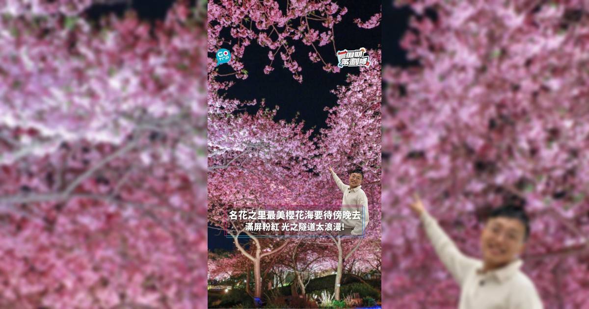 【#假期策劃師】名花之里最美櫻花海要待傍晚去 滿屏粉紅 光之隧道太浪漫!