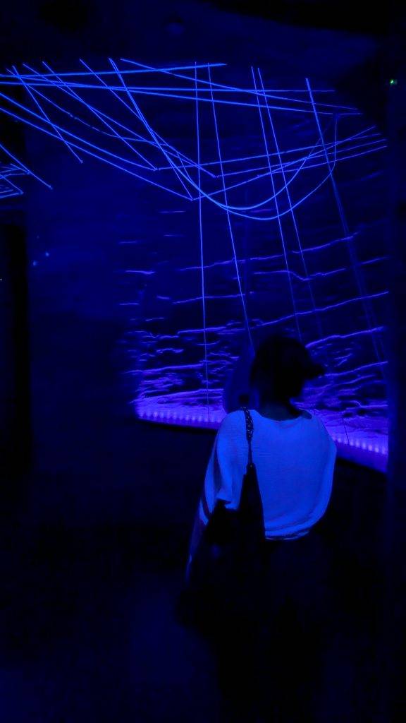 新加坡萬態野生動物世界Exploria（圖片來源：GOtrip編輯部）