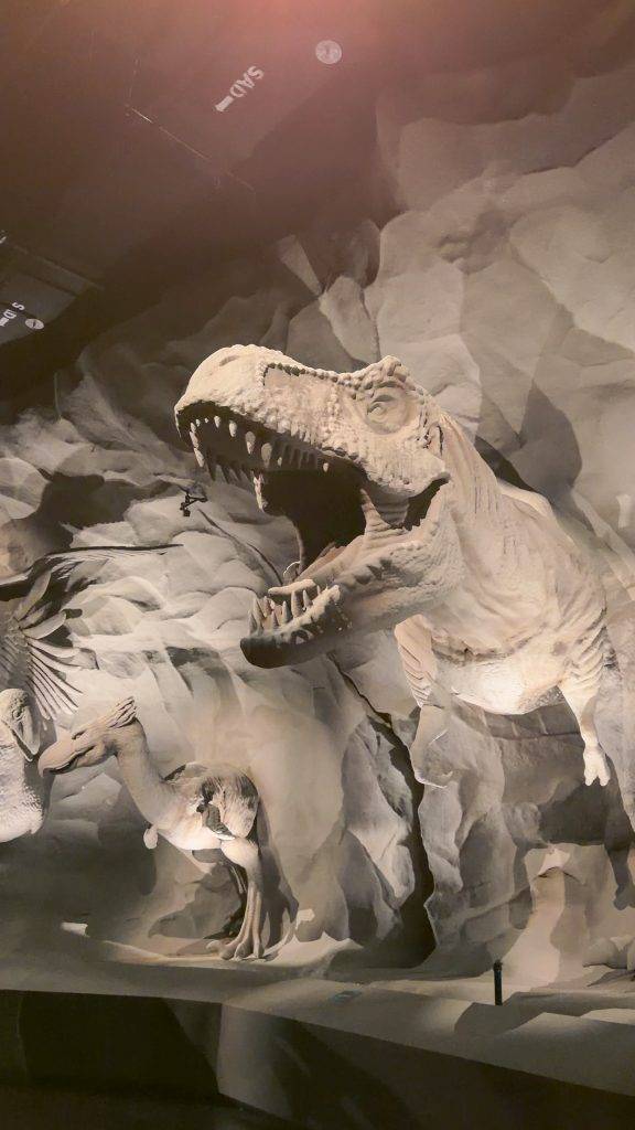 新加坡萬態野生動物世界Exploria（圖片來源：GOtrip編輯部）