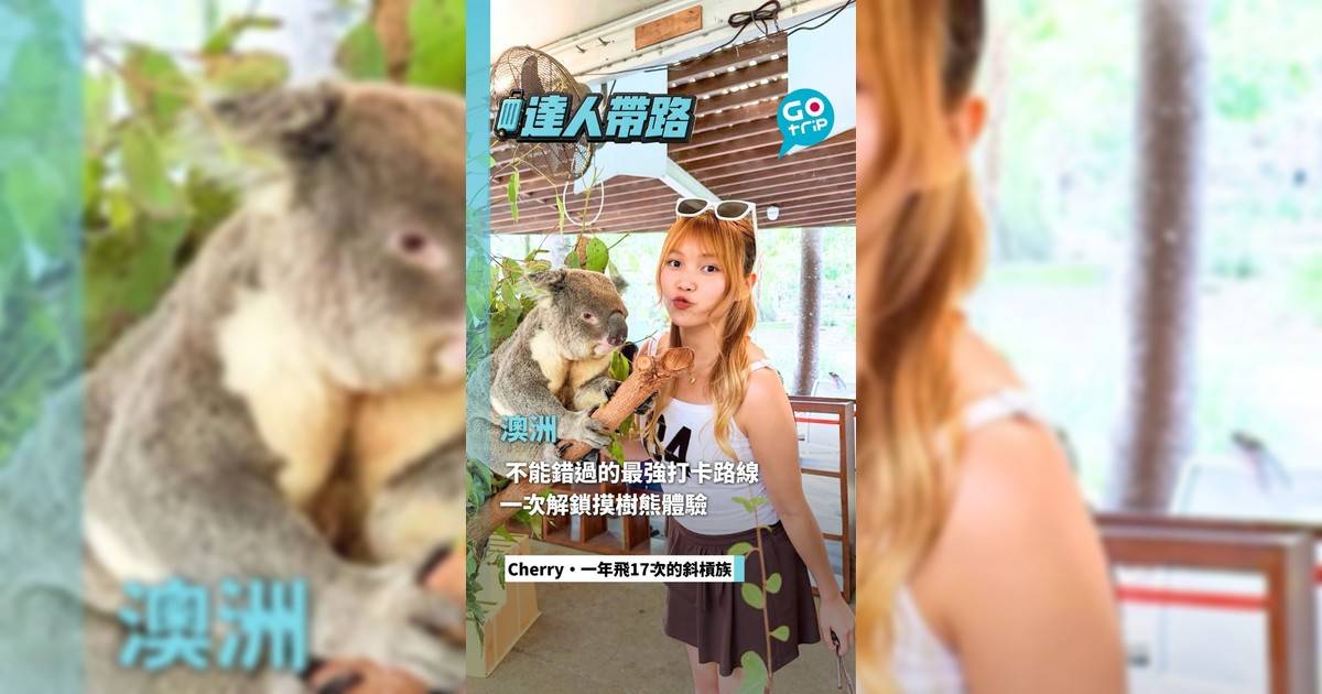 澳洲不能錯過的最強打卡路線 一次解鎖摸樹熊體驗