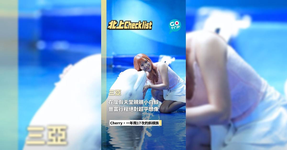 在度假天堂親親小白鯨 豐富行程絕對超乎想像