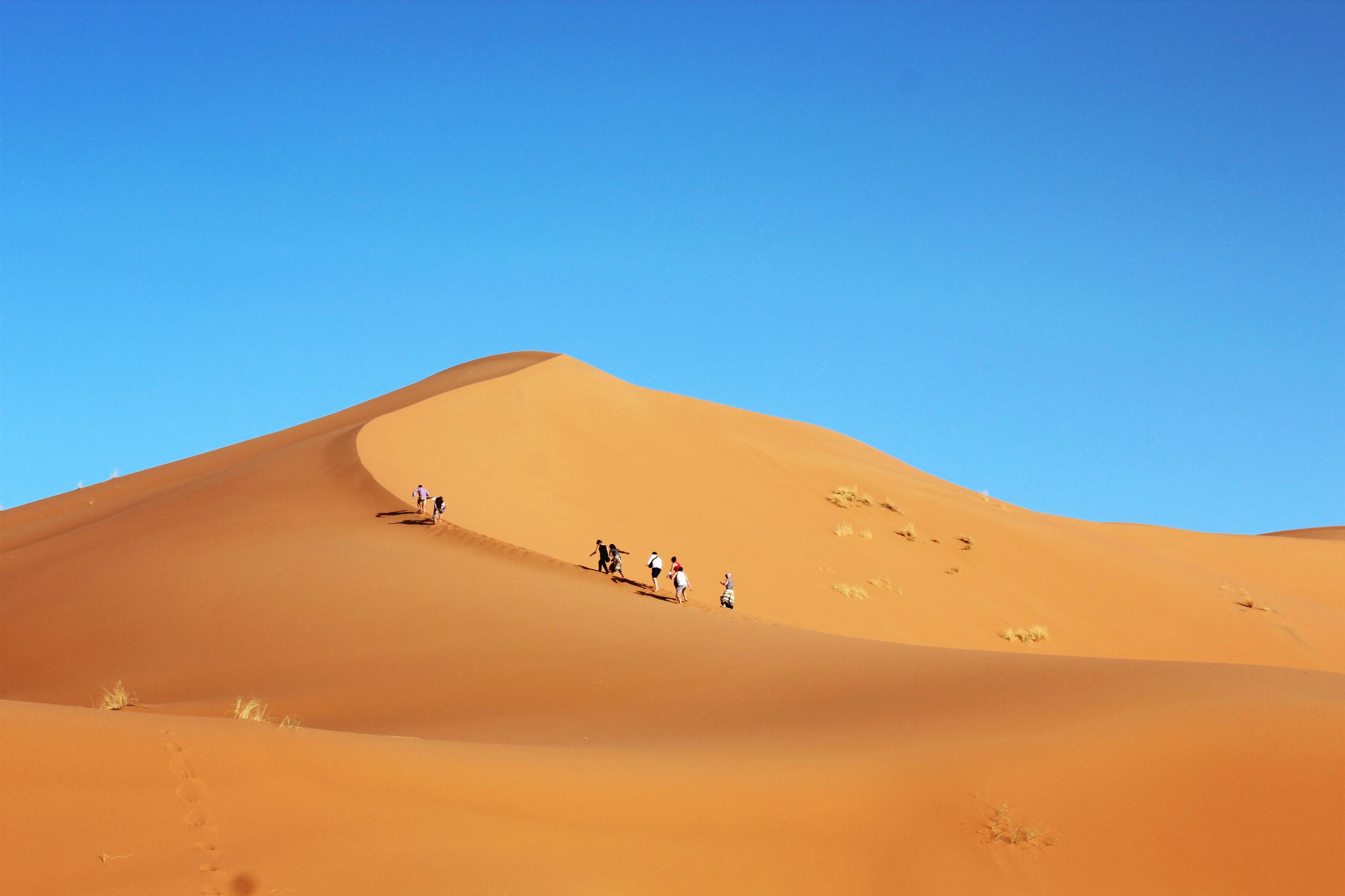 这一生请你一定要去一次撒哈拉沙漠.
